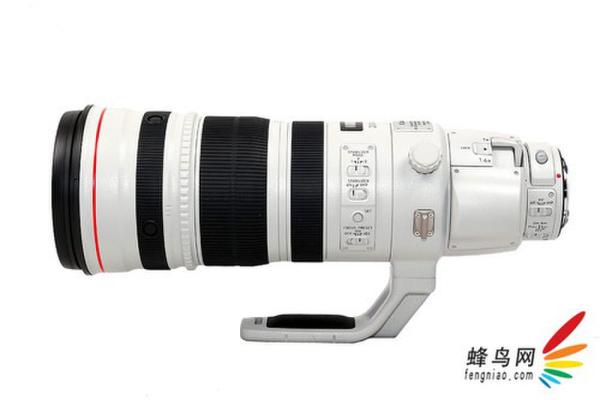 拍摄所用器材佳能EF200－400mm f/4L IS USM Extender1.4x镜头