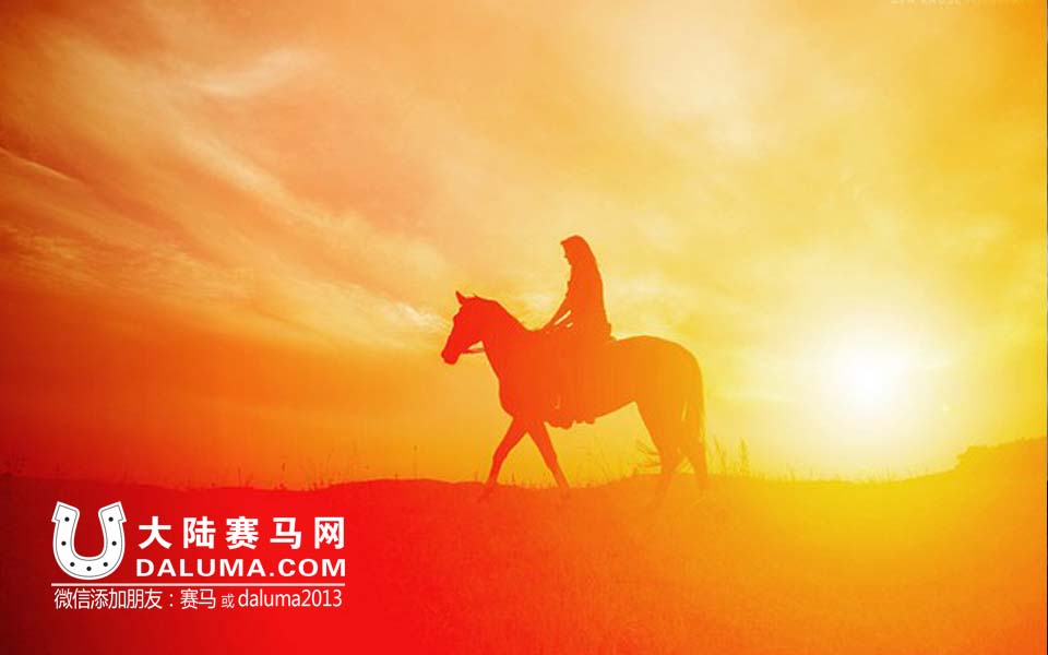 当美女爱上骏马（高清图片）